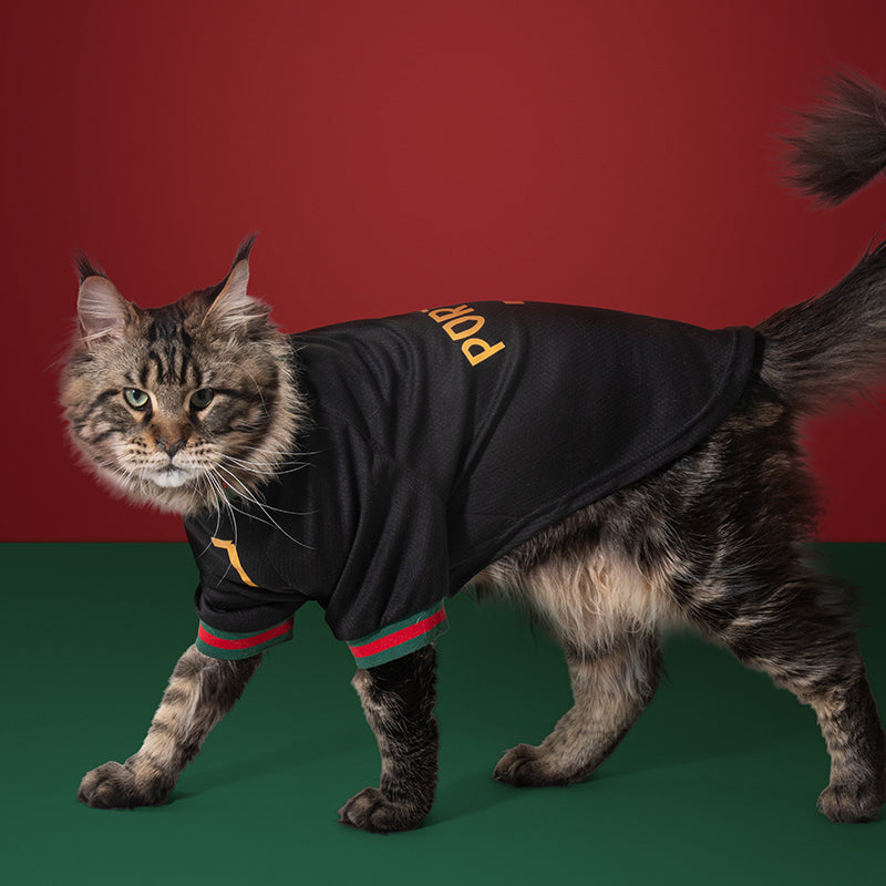 Portugal FPF Pet No.7 Special Edition Jersey - Black